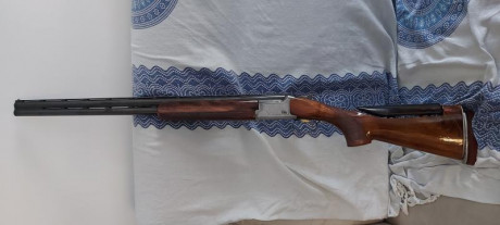 Pongo a la venta escopeta plato marca browning gti  trap con chokes  2 y 1 estrella fijos.p.culata regulable 00