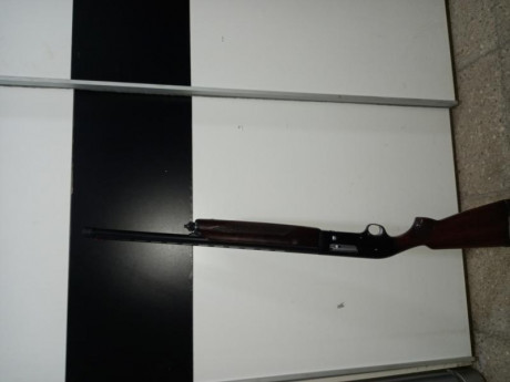 SE VENDE
Beretta A 300 cal12-70 cañon 66
buen estado 
mecanicamente funciona perectamente 
maderas bien 02