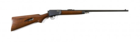Compro este rifle 22 lr semiautomático. 01