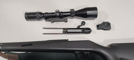 Vendo rifle marca BLASER modelo R93 del calibre 300, el cual lleva asociado un cañón del calibre 375 y 02