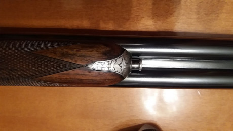 Cambio Victor sarasqueta DHE calibre 20 por benelli raffaello crio en calibre 20 , benelli montefeltro 12