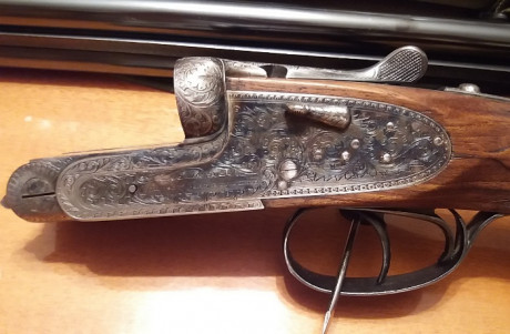 Cambio Victor sarasqueta DHE calibre 20 por benelli raffaello crio en calibre 20 , benelli montefeltro 31