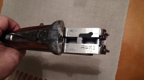 Cambio Victor sarasqueta DHE calibre 20 por benelli raffaello crio en calibre 20 , benelli montefeltro 30