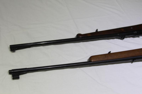 Vendo dos rifles Santa Barbara, uno modelo A, y otro C75, ambos en calibre 308 winchester. Precio 800 00