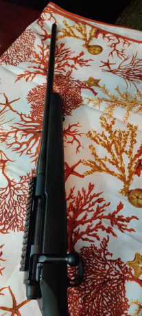Cuelgo un Rifle de un Amigo que no está en esta Web.
Maúser M18 en 308 Win, está en perfecto estado 
550 02
