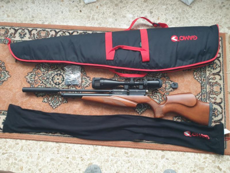 Vendo equipo completo de PCP:
Carabina PCP BSA Scorpion SE calibre 5.5 
Visor BSA 6-24x50 quarry king
Supresor 02