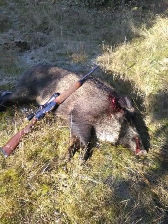 CAMBIO REMINGTON 3006 SEMI, EN BUENAS CONDICIONES CON VISOR LEUPOLD 3/9X50 SIN RETICULA ILUMINADA, ANILLAS 00
