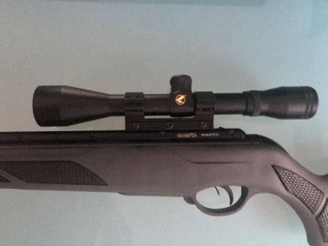 Vendo carabina de muelle Gamo viper express con visor gamo 6x40. La peculiaridad de esta carabina es que 02