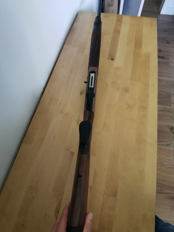 Un amigo me pide que le ponga en venta esta escopeta Beretta.
Está en Madrid .

Escopeta Beretta A400 11