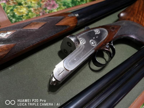 Cambio escopeta Merkel mod. 2002E por rifle o conjunto rifle visor que me pueda encajar.
El motivo del 20