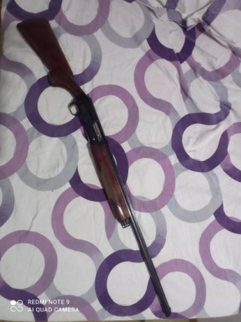   ofrezco  
Azhur superpuesta con selector de cañón
Browning gold, con sus chokes y cañón preparado para 12