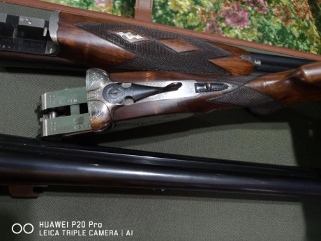 Cambio escopeta Merkel mod. 2002E por rifle o conjunto rifle visor que me pueda encajar.
El motivo del 60