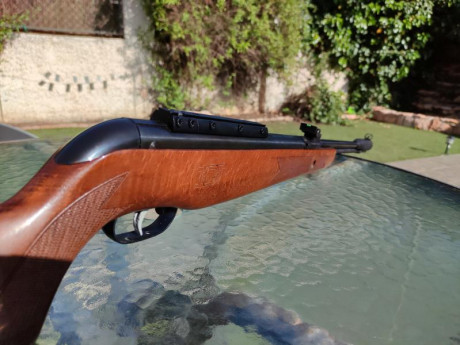 Se venden estas armas;
KRAL NP-01 en perfecto estado estetico y de funcionamiento ( 230 € )
GAMO CFX ROYAL 21