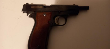 Vendo la pistola descrita más arriba va con dos cargadores, no la uso para nada, quieto comprarme una 02