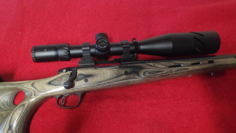 Hola:
Pues eso, vendo mi rifle Marlin XSVH del calibre 308 Win, tiene cañón pesado de 26", se encuentra 02