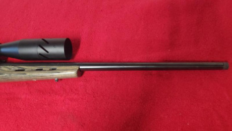 Hola:
Pues eso, vendo mi rifle Marlin XSVH del calibre 308 Win, tiene cañón pesado de 26", se encuentra 00