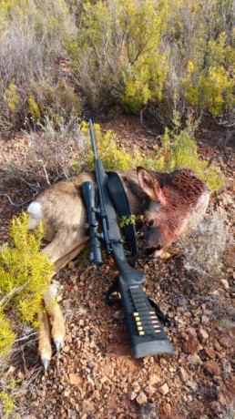  VENDIDO 

Rifle  Marlin X7  en  calibre 7mm-08 Remington
 
Se incluye:
Visor Bushnell 2'5-15x50.
Bipode 10