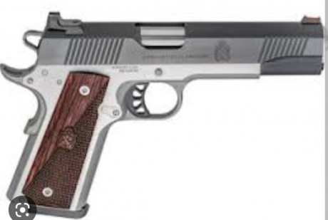 Compro Pistola SPRINGFIELD 1911 calibre 9mm para división CLASSIC IPSC.
Solo los modelos GOLD MATCH, TARGET, 01