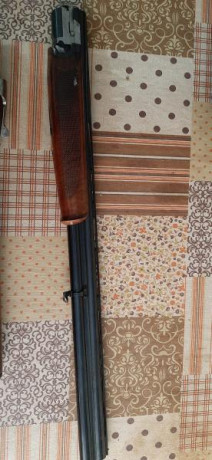   Buenas noches

Un conocido vende sus armas debido a un problema de salud, ambas presentan ligeras marcas 11