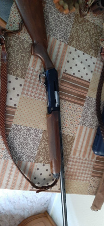   Buenas noches

Un conocido vende sus armas debido a un problema de salud, ambas presentan ligeras marcas 22