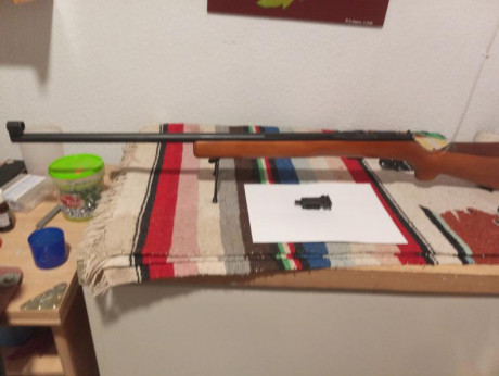 Vendo esta formidable carabina de la marca BRNO .Pocas de estas hay en España,comprada e un compañero 21