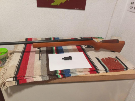 Vendo esta formidable carabina de la marca BRNO .Pocas de estas hay en España,comprada e un compañero 20