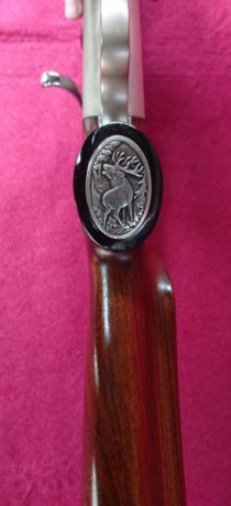 Para los que gustáis el tiro a larga distancia este rifle es magnifico, solo ver como balea... 

Blaser 11