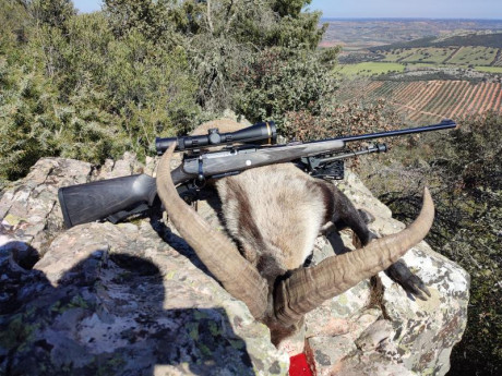 Buenos días compañeros, tengo un blaser r8 ultímate en 300wm, uso este rifle para todo, esperas rececho 100