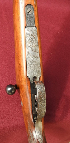 Buenas tardes a todos!

Voy a comprar próximamente un nuevo Rifle que utilizaré para todo( aguardos, recechos,y 110