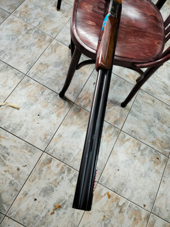 se vende escopeta en buen estado kromson con dos cañones unos de 74 cm F.O.32 BLACK y otros de 63 D´OR 21