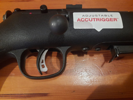 Vendo este Savage 93R17, ha disparado un solo tiro. Está nuevo, impecable. Calibre .17 HMR
Pido por el 00