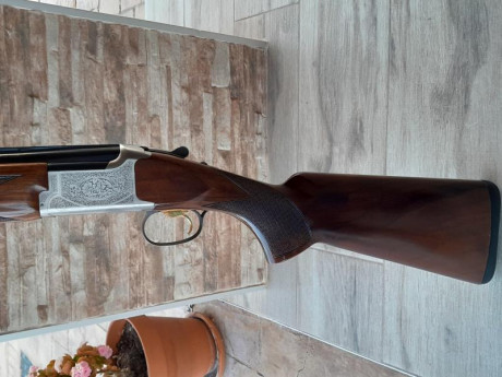  20230413_200945.jpg Vendo escopeta browning  B525 Sporting con 71 de cañón y 4  choques invector y selector 00