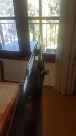 Un amigo me ha pedido que ponga a la venta un Rifle Browning 270 win, sin monturas ni visor, 450€ y si 01