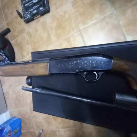 Vendo escopeta beretta cañon SP de 67 cm ánima 18.3 de cuatro estrellas. La escopeta pesa 3 kg. Está usada 02