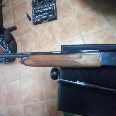 Vendo escopeta beretta cañon SP de 67 cm ánima 18.3 de cuatro estrellas. La escopeta pesa 3 kg. Está usada 00