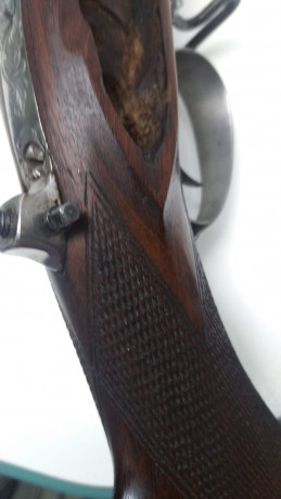 Hola:
Vendo este rifle guiado como ARSA. Cañón Green Montain según me dijeron. Llave LR, una delicia. 141