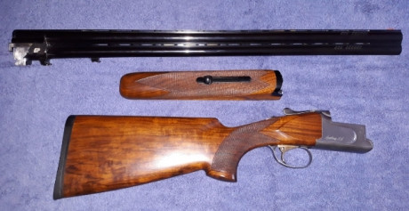 Se Vende escopeta Franchi Sporting Sl para caza y plato en perfecto estado.
Cañón de 71 CMS, doblé punto 02