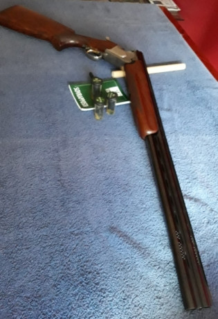 Se Vende escopeta Franchi Sporting Sl para caza y plato en perfecto estado.
Cañón de 71 CMS, doblé punto 01