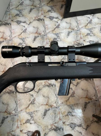 Buenas compañeros.

Busco carabina 22lr.

Características:
 -De cerrojo
 - Culata de material sintético
 30