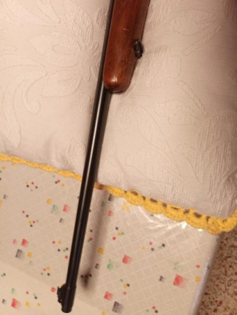Se vende carabina semiautomática BRNO 581 del año 1976 .Ya no se hacen estás joyas ,en mecanismos y calidad 00