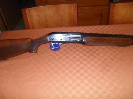 Hola. Esta a punto de caer en mis manos esta escopeta con cañón de 66 y choques exteriores, es de sistema 160