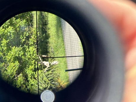 Esta en un estado impecable las marcas tipicas de las anillas 
Esta impoluto de lentes y en perfecto funcionamiento 00