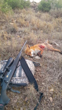  VENDIDO 

Rifle  Marlin X7  en  calibre 7mm-08 Remington
 
Se incluye:
Visor Bushnell 2'5-15x50.
Bipode 70