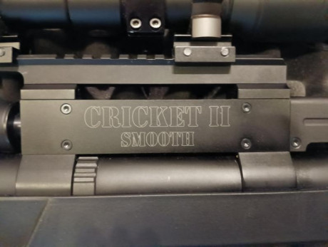 Pues pongo a la venta esta potente carabina pcp del calibre .30 o 7,62 en este calibre es muy precisa, 11
