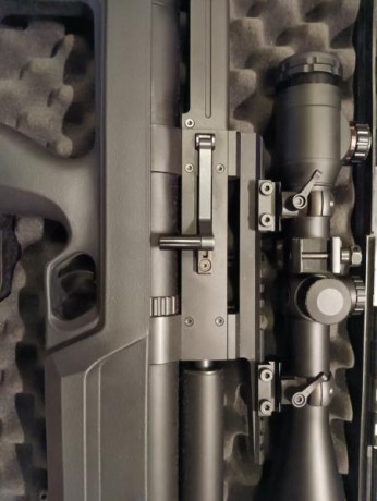 Pues pongo a la venta esta potente carabina pcp del calibre .30 o 7,62 en este calibre es muy precisa, 10
