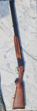 Vendo escopeta superpuesta marca Felix Sarasqueta y Cia, modelo Merke, calibre 12, cañones ventilados. 01