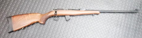 Se vende carabina CZ Brno calibre 22lr. Es el modelo 2E, similar a la ZKM-452. Tiene cargador para 10 01