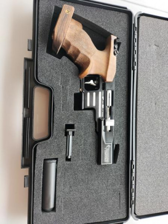 Vendo Pardini Rapid Fire 22LR con cacha Rink tallas L a XL está impecable, se adjunta un punto de mira 00
