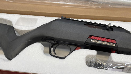 Vendo Winchester Wildcat 22lr, comprada este año, solo se uso para probarla y centrar el punto rojo. Va 52