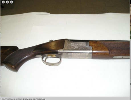 Buena tardes me ofrecen una browning pero el armero no me sabe decir el modelo, me comenta escopeta browning 02